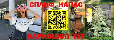 ПСИЛОЦИБИНОВЫЕ ГРИБЫ Берёзовский