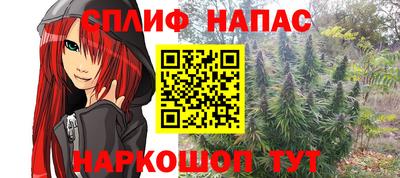 шишки Камень-на-Оби