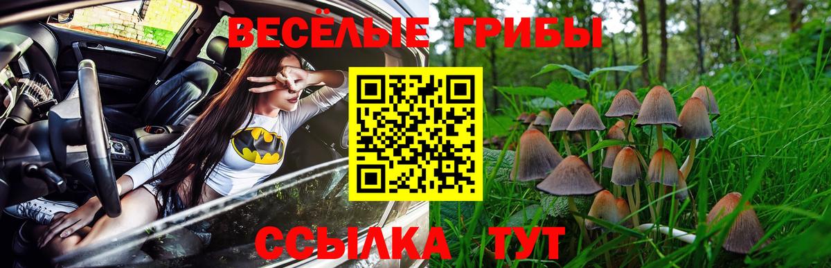 Псилоцибиновые грибы мухоморы Качканар