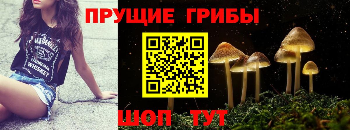 Качканар  Псилоцибиновые грибы Psilocybe  Галлюциногенные грибы Psilocybe  Вход с VPN 